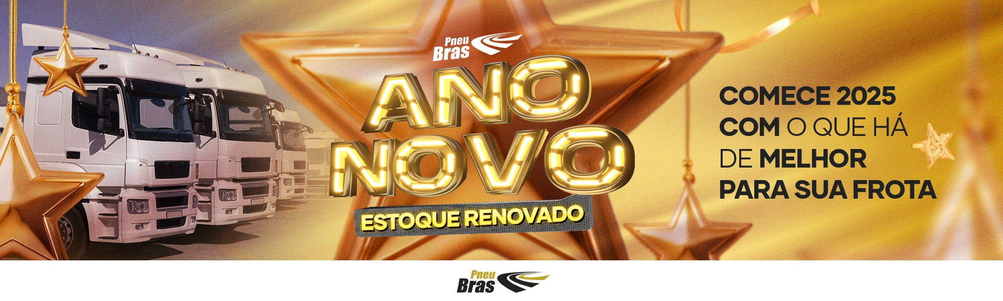 ano novo pnb